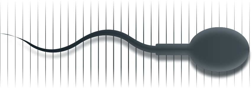 Реферат: Сперма