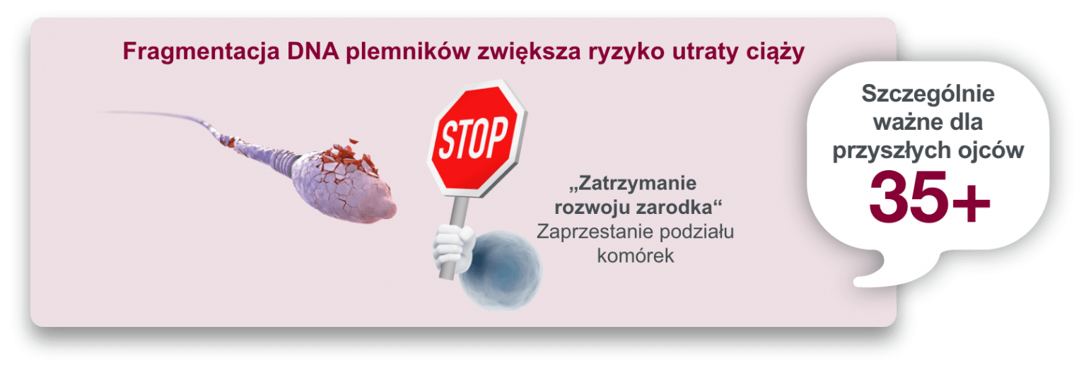 Dlaczego Podczas Podziału Komórki Dna Występuje W Formie Skondensowanej Pęknięcia DNA › PROFERTIL